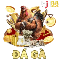 đá gà bj88