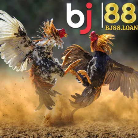 nhà cái bj88